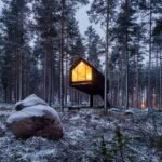 Elevated Cabin Design in Finland: Inside the Niliaitta Forest Retreat