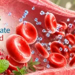 Herbs for Better Circulation, Delivery, and Cellular Energy